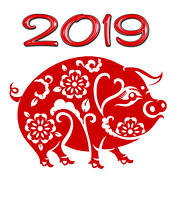 CHINESE NEW YEAR 2019